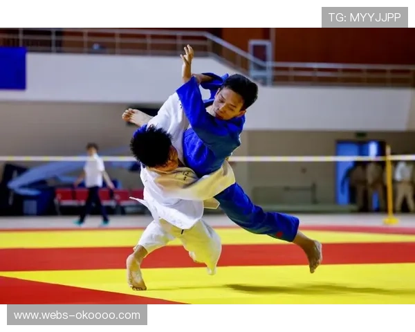 北京市青少年手球锦标赛大兴区与丰台区分获男女甲组冠军