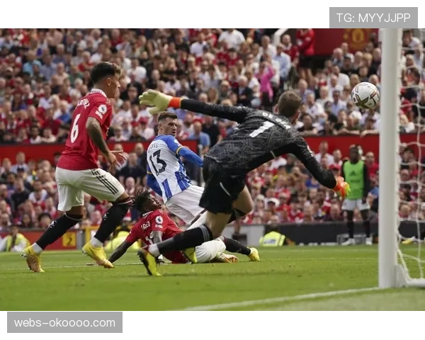 伤病潮下的坚韧：记录布莱顿如何依靠青年军挺过三线作战的艰难三月